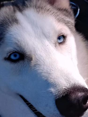 IMG-20191004-WA0034
