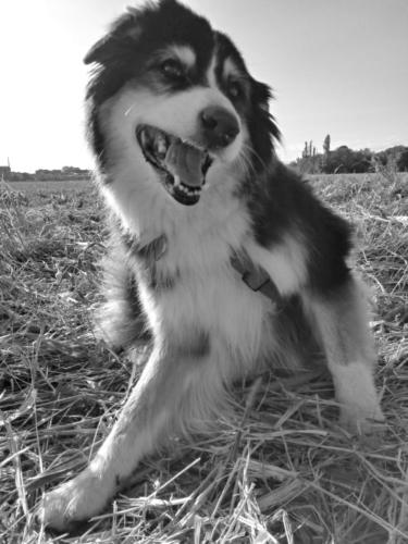 IMG-20191004-WA0040