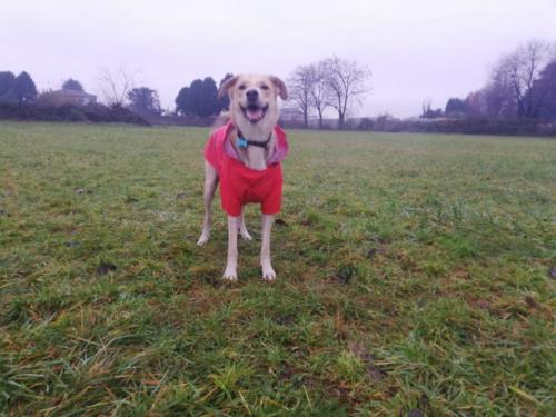 IMG-20191219-WA0001