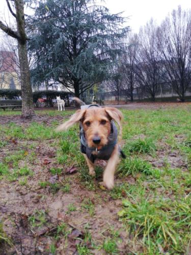 IMG-20191219-WA0041