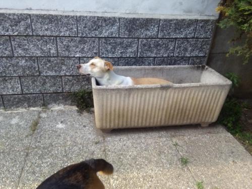 IMG-20190608-WA0021
