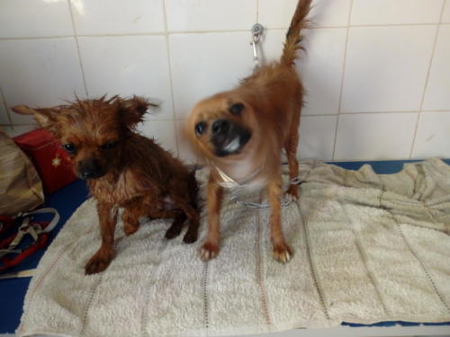 All-focus